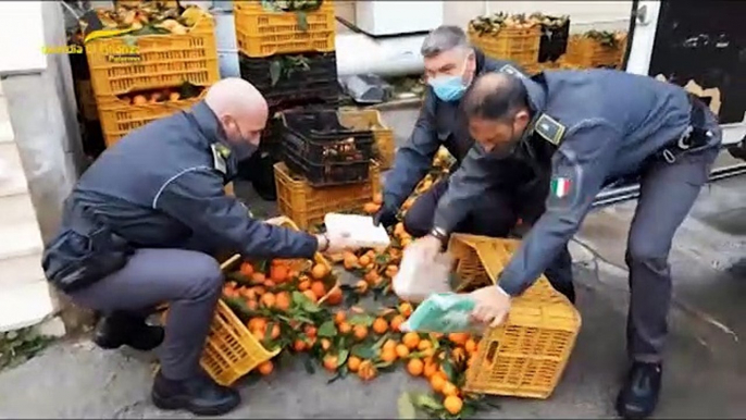 Ponte con la Calabria per il traffico di cocaina, 21 arresti.