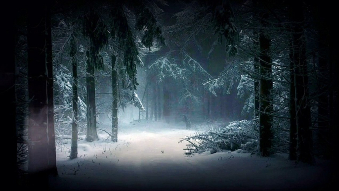 Relaxing Snow Falling Sound - Winter Nature Video #naturesound #snowfalling