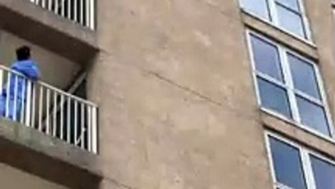 A raccoon jumps from a 20-metre building   Un raton laveur saute d'un immeuble de 20 mètres