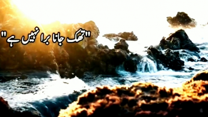 Aqwalezareen, Urdu adab, Golden words, best aqwalezareen, Islamic aqwal