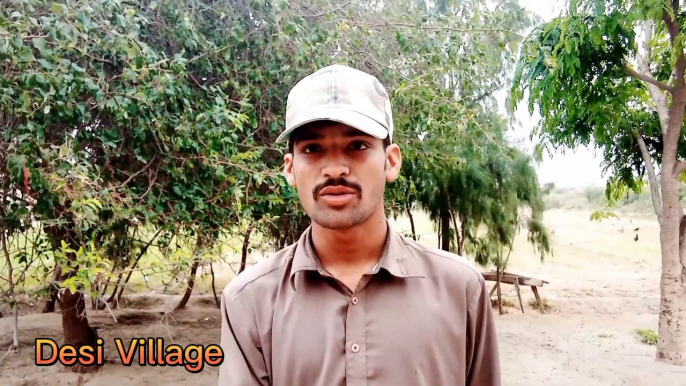 My fast Vlogs Desi Village #village#Desi #Vlogs #myfastvlogs #Followmychanal #DesiMahol