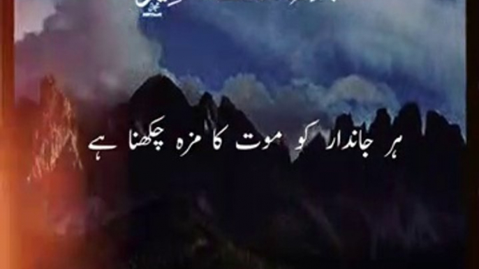 Very Very Beautiful Tilawat-e-Quran Recitation/Islamic video/shorts/تلاوت قرآن مجید