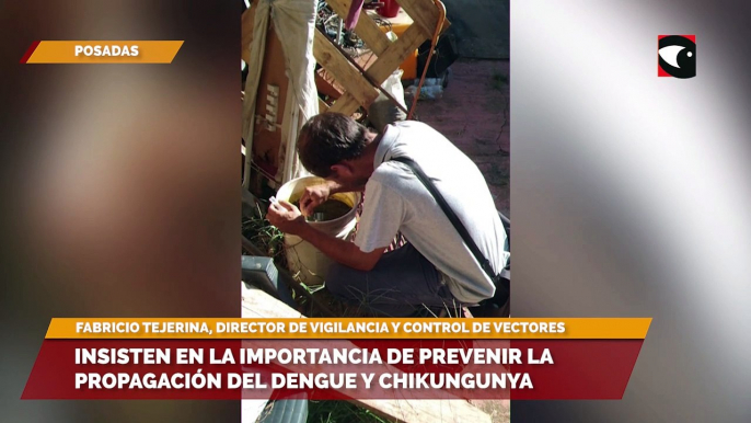 Desde la Municipalidad de Posadas, insisten en la importancia de los cuidados preventivos para evitar la propagación del dengue y la chinkungunya