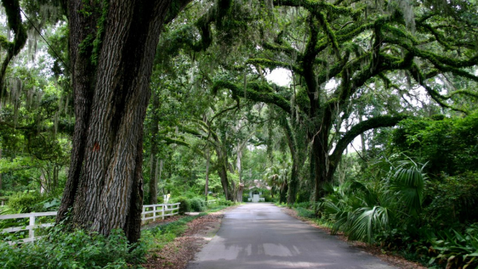 This Is the Oldest Inland Town in Florida — and It Offers a Different Kind of Sunshine State Vacation