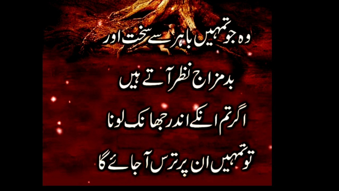 Beautiful aqwalezareen collection #heartouching words#Goldenwords#islamic quotes,