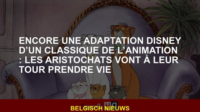 Encore une adaptation Disney d’un classique de l’animation : Les Aristochats vont à leur tour prendr