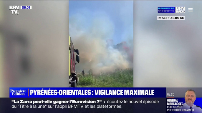 Pyrénées-Orientales: les feux fixés, mais le risque de reprise est "important"