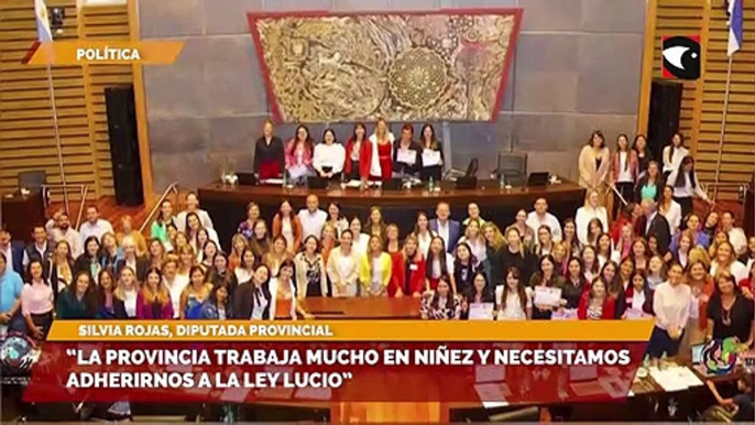 El parlamento misionero resalta la importancia de que la provincia se adhiera a la Ley Lucio para promover nuevas herramientas en el ámbito de la niñez