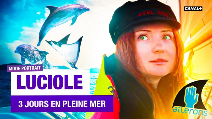 3 jours en haute mer avec Luciole pour protéger les raies et les requins - Mode Portrait - CANAL+