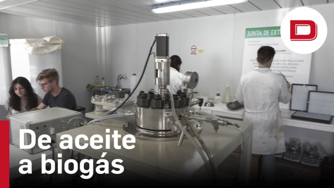 Una empresa extremeña transforma los residuos de la producción de aceite de oliva en biogás