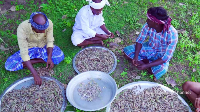 BIRYANI _ TRADITIONAL PRAWNS BIRYANI _ Hyderabadi Style Dum Biryani Recipe Cooking In Village-(1080p)