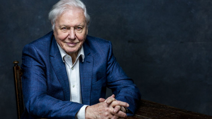 Sir David Attenborough has been chosen to represent Earth in the Galactic Federation