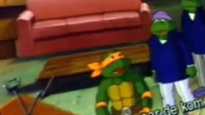 Teenage Mutant Ninja Turtles (1987) Teenage Mutant Ninja Turtles E124 Michelangelo, the Sacred Turtle