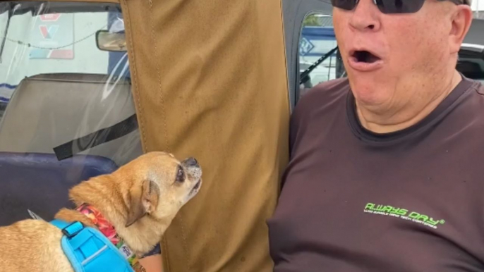 Man tries talking to a dog by barking and growling like it