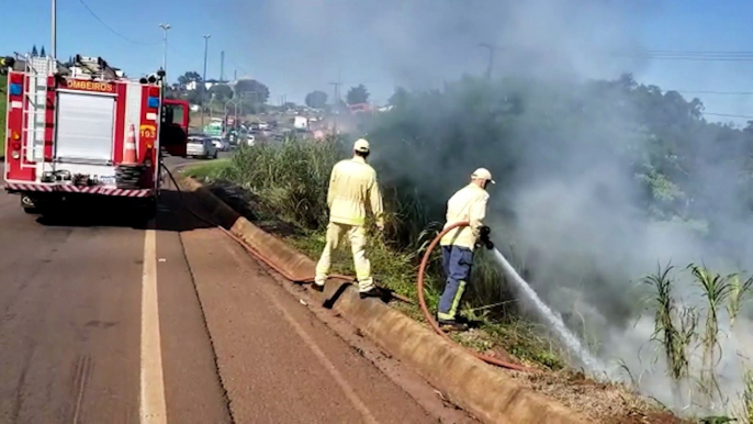 Incêndio nas margens da BR-277 mobiliza Corpo de Bombeiros