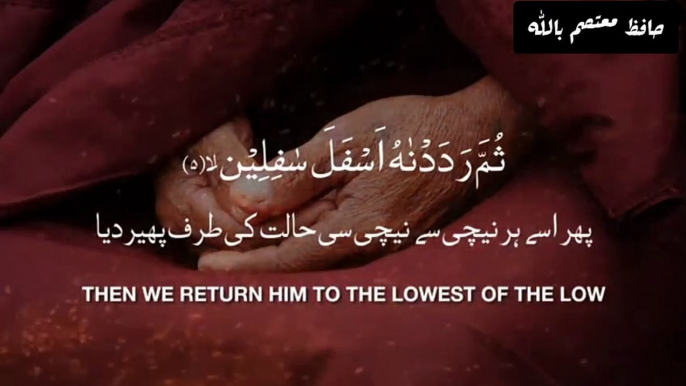 Surah Al-Tin ( The Fig ) With Urdu Translation __ Heart Touching Voice __ Holy Quran Recitation