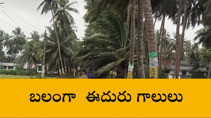 పశ్చిమ గోదావరి: మారిన వాతావరణం... భారీగా ఈదురు గాలులు