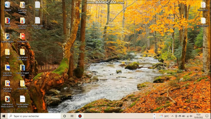 Comment changer le fond d'écran avec Wallpaper Engine (Sous Windows 10)