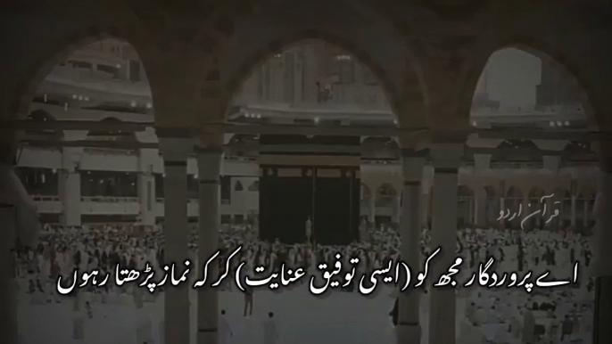 Quran Recitation _ Quran whatsapp status __ Quran tilawat __ Quran Urdu __ Quran