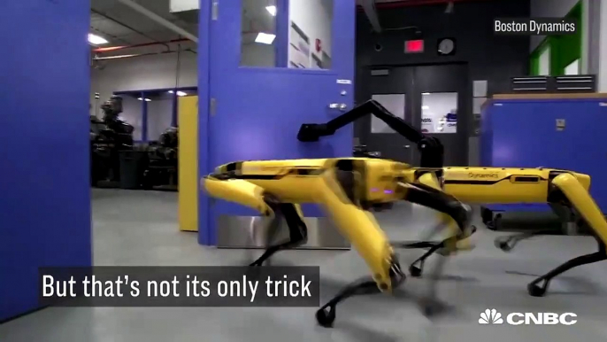 Boston Dynamics’ SpotMini Robot Has A New Trick