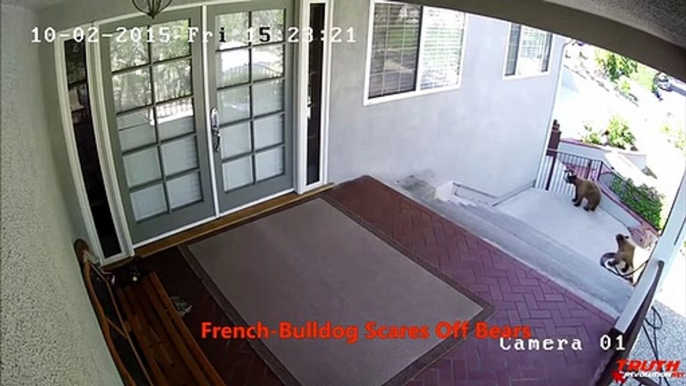 5 Weird Things Caught on Security Cameras