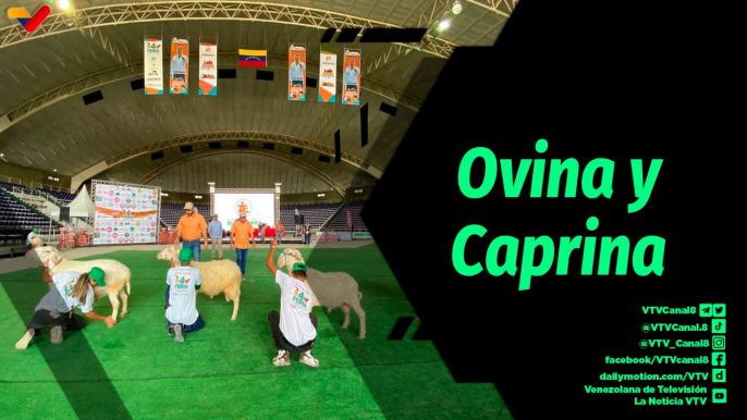 Al Aire | V Feria Nacional Ovina y Caprina Barquisimeto 2023