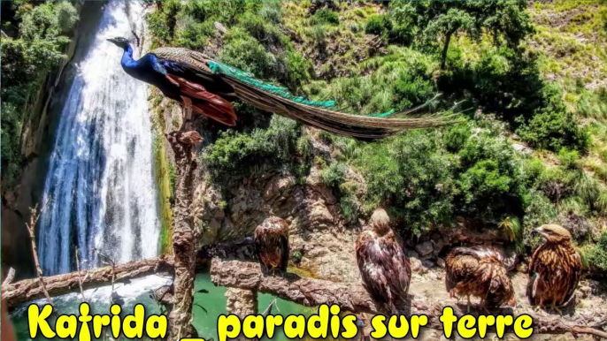 Les cascades de Kefrida _Paradis sur Terre ⛱    جنة فوق الارض_ شلالات كفريدة