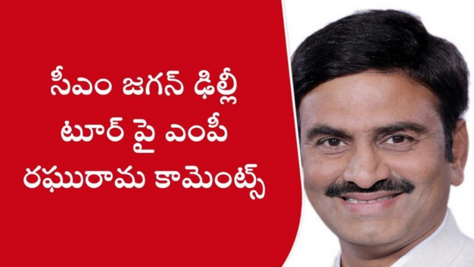 సీఎం జగన్ ఢిల్లీ టూర్ పై ఎంపీ రఘురామ హాట్ కామెంట్స్