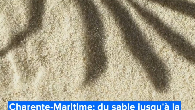 Charente-Maritime: du sable jusqu'à la bouche, un enfant sauvé in extremis sur la plage