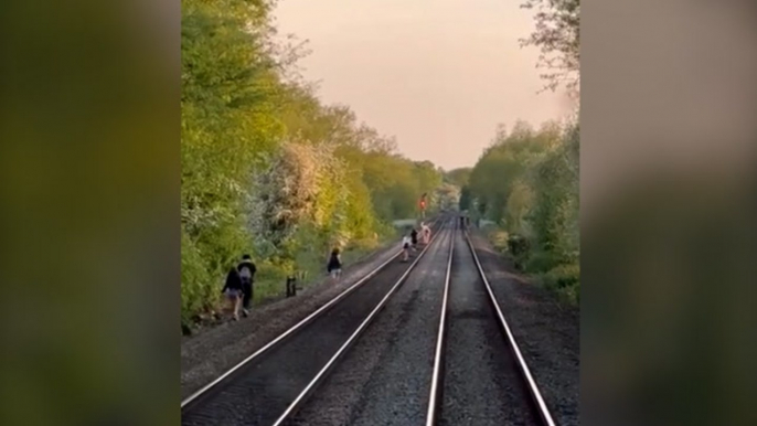 Children playing on live tracks force train driver to make emergency stop