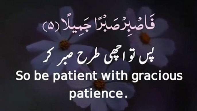 Quran whatsapp status __ Quran tilawat __ Quran Urdu __ Quran islamic status (1)