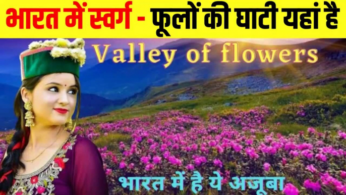 Valley Of Flowers -Tourist place India's Heaven on earth-Flowers Variety