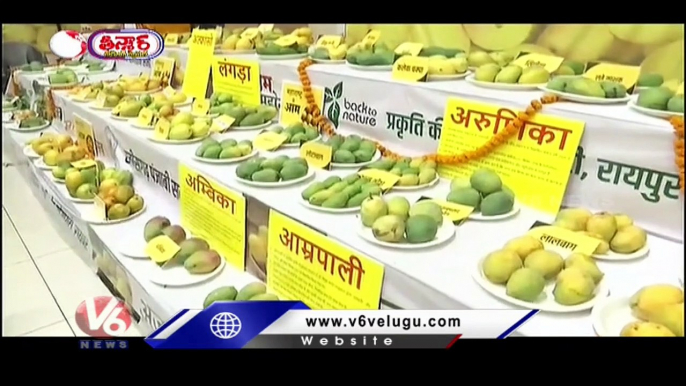 Japan Mangoes  _ Miyazaki  Mangoes  Cost Rs.2.7 Lakh Per Kg In India _ V6 Weekend Teenmaar