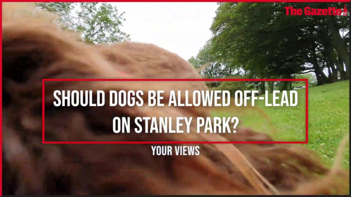 Should dogs be allowed off-lead? Park-goers have their say