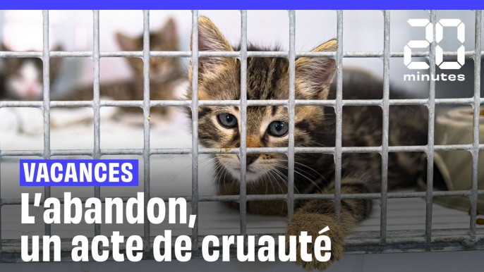 Pourquoi on a le droit d’abandonner ses animaux de compagnie en France ?