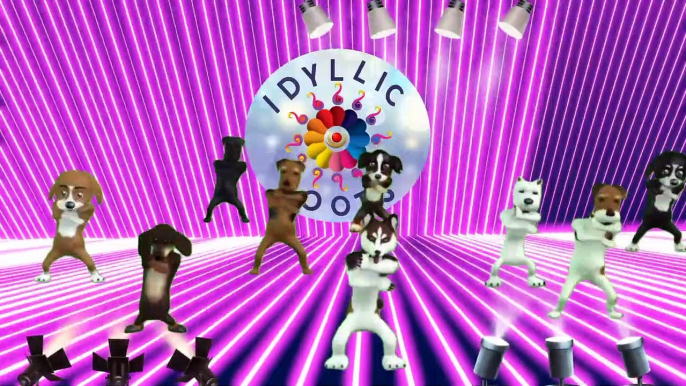 Puppy dance video | cute puppy dance | dog dance on fast music | Cute puppy dance on fast beat