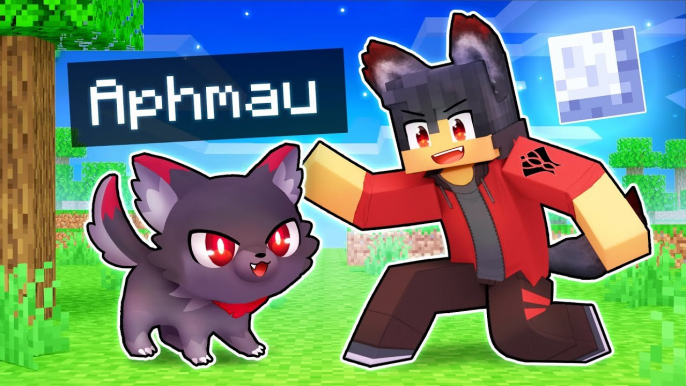 Playing As A LOYAL Werewolf KITTEN In Minecraft!