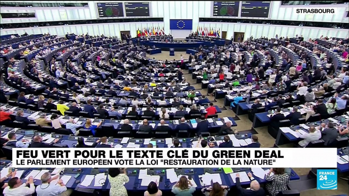 It's not easy being green: le Green Deal "ne répond pas au niveau d'urgence climatique & écologique"