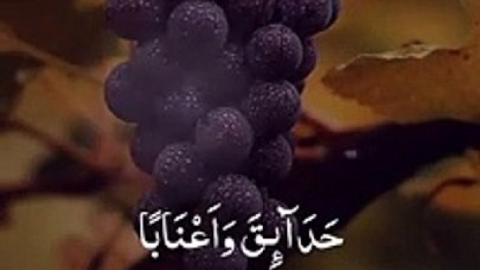 #Quran