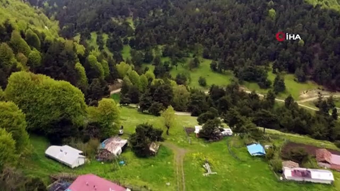 Les hautes terres d'Amasya ne ressemblent pas aux Alpes suisses