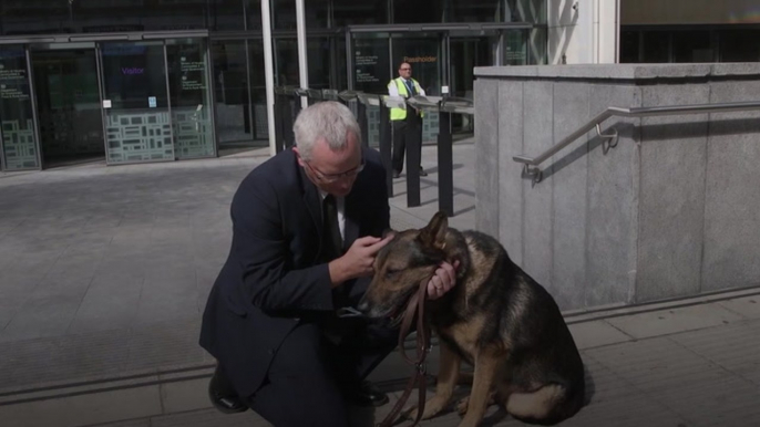 Tributes paid to ‘hero’ ex-police dog stabbed protecting handler as he dies aged 14