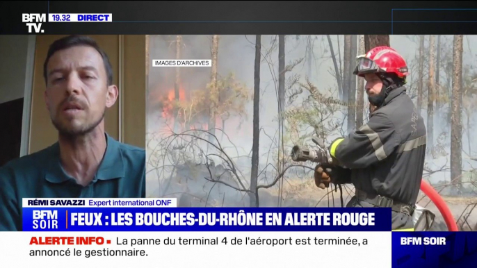 Risque d'incendies dans les Bouches-du-Rhône: "On a une végétation qui est propice à la propagation des incendies", indique Rémi Savazzi (expert international de l'Office national des forêts)