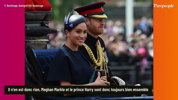 Meghan Markle moulée dans une robe bustier pour fêter ses 42 ans avec Harry, pied de nez aux rumeurs de divorce