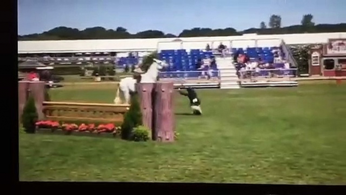 Rider Blames Her Horse For Falling Off Its Back And Starts Kicking It