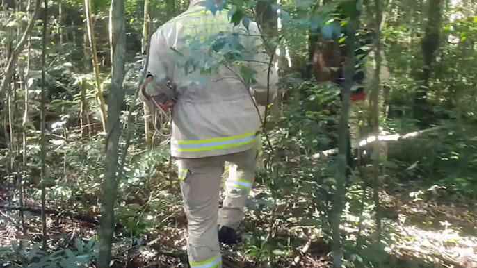 Corpo de Bombeiros é acionado para resgatar cachorro que caiu em buraco próximo ao Parque Vitória