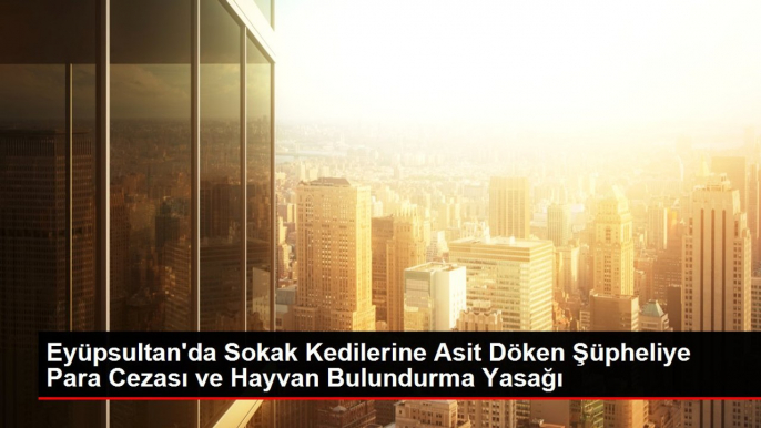 Eyüpsultan'da Sokak Kedilerine Asit Döken Şüpheliye Para Cezası ve Hayvan Bulundurma Yasağı