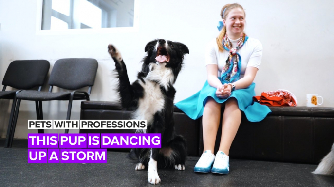 Pets with Professions: Nobody puts this dancing dog in a corner!