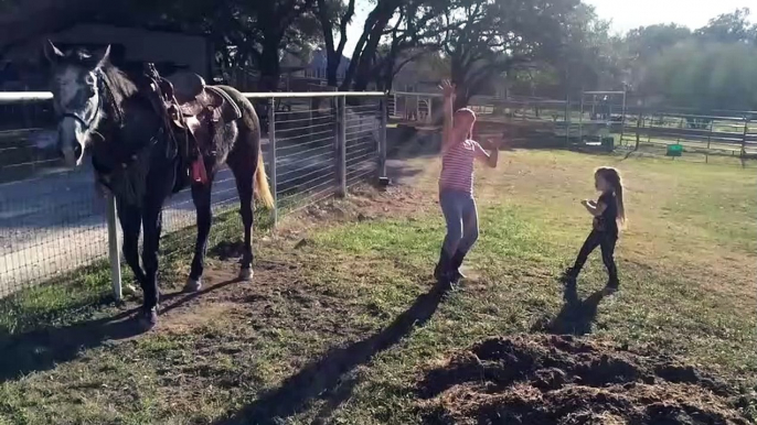 Horse Dances with Girls