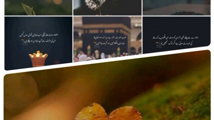 Life Quotes in Urdu / Motivational Urdu Quotes / Aqwal e Zareen