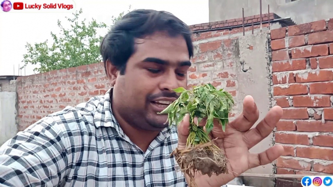 Finally Youtuber बनने के बाद लगाया पेड़ | Daily Vlog | Lucky Solid Vlogs | Gorakhpur Vlog |Gorakhpur